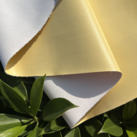 Nouvelle Tendance : Cuir Végétalien de Cactus, Cuir PU Bio-sourcé pour Sacs à Main, Portefeuilles, Accessoires, Emballage à Base d'Eau