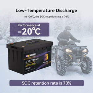 Batería para Vehículo Eléctrico de Baja Velocidad OEM ODM 64V 40Ah Lifepo4, Batería Multiusos para Vehículo Side by Side, Celdas IFP2265146-21Ah - Product Image 4