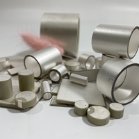 Anneau piézoélectrique en céramique Pzt4 de 25 mm/38 mm/45 mm pour transducteur de nettoyage