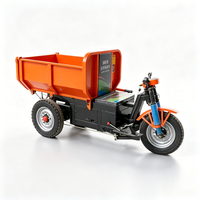 Chariot à trois roues fermé de 2 tonnes, motorisé à batterie, chariot de transport agricole électrique de 2000 kg, largeur étroite de 80 cm