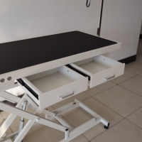 Table de toilettage électrique EURVET, robuste, capacité 250 lbs, système d'éclairage LED, tiroir de rangement intégré, équipement vétérinaire de type H, 304 Dog