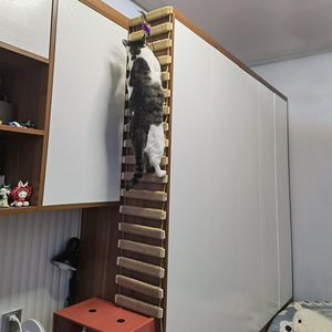 Structure d'escalade pour chat en bambou moderne avec design écologique, pont à marches DIY pour usage intérieur et extérieur - Product Image 2