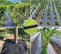 Rouleau de tissu de protection contre les mauvaises herbes tissé en PP résistant aux UV pour le jardin et l'agriculture