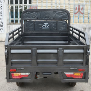 Triciclos de carga de tipo abierto eléctrico para adultos, triciclos de carga de camión eléctrico de 3 ruedas con cubierta de lluvia a la venta con <span class=keywords><strong>EEC</strong></span> y COC - Product Image 5