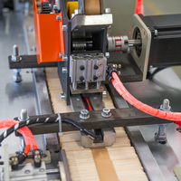 Machine d'emballage et de cerclage automatique pour bâtonnets de crème glacée en bois avec moteur numérique, fournie par l'usine