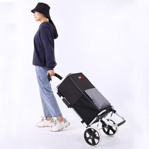 Chariot de Courses Pliable Robuste Capacité 50 kg avec 2 Roues et Grand Sac Isotherme - Product Image 6