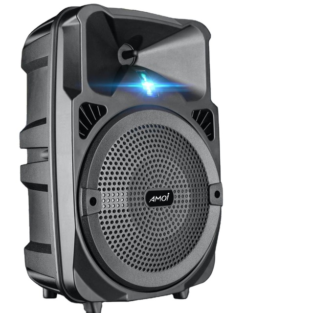 Battery Removable Portable Active Speaker 8 Inch Speaker with BT Function