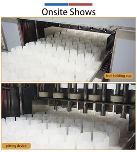 QH-T Green Jujube Apple Peach Pitting and Splitting <b>Machine</b> 9000pcs/h Food Grade <b>Stone</b> Fruit Coring <b>Cutting</b> <b>Machine</b> - Product Image 5