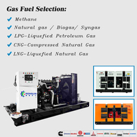 Groupe électrogène au méthane RONSUN 250 kW avec moteur CUMMIS certifié CE/ISO9001, sortie 400 V