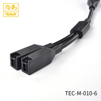 Connecteur Micro-Fit 2 broches mâle-femelle à sertir 2 cœurs, type Y, câble d'alimentation basse tension S.R DC 12V/0.5A, conducteur en cuivre 24 AWG