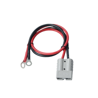 Câbles de connecteurs de charge haute intensité personnalisés 50A 350A, faisceau de câbles, assemblage de câbles d'alimentation isolés en PVC pour véhicules à énergie nouvelle