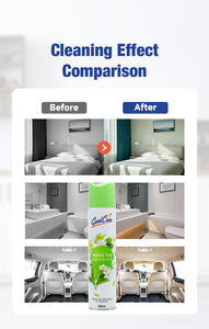 Fabrieksgroothandel Aanpasbare Privélogo Ecologische Aerosol <span class=keywords><strong>Spray</strong></span> Luchtverfrisser Kantoor Witte Thee Geur Natuurlijke <span class=keywords><strong>Spray</strong></span> - Product Image 4