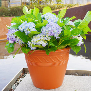 Grands Pots <span class=keywords><strong>De</strong></span> Fleurs Chinois Vaso Da Esterno Vasi Da Esterno en Resina <span class=keywords><strong>Pot</strong></span> <span class=keywords><strong>De</strong></span> Jardinière Magnétique Bonsaï <span class=keywords><strong>Mini</strong></span> Plastik - Product Image 6