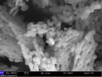(nano MgO 30-50nm 99.9%) Nanopartículas de Óxido de Magnesio