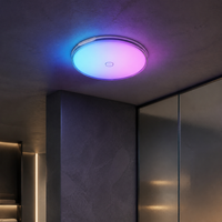 Lumière LED de douche pour salle de bain, moderne, étanche IP44, magnétique, RGB, 15 couleurs, télécommande, type C, rechargeable