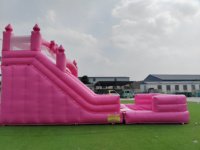 Toboggan aquatique gonflable rose à double piste pour filles, avec piscine amovible, idéal pour les événements commerciaux et la location en extérieur.
