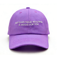 Gorra de Béisbol Unisex de Lona, 100% Algodón, 6 Paneles, con Logotipo Bordado en 3D Personalizado, Deportiva, Urbana, Ajustable, para las 4 Estaciones