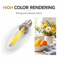 Ampoule à filament LED E12 220V 2W COB en verre, lumière de bougie blanc chaud, lampe vintage pour lustre, candélabre