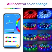 Bande lumineuse LED RGBIC WS2812B à changement de couleur avec télécommande pour éclairage domestique et rétroéclairage TV