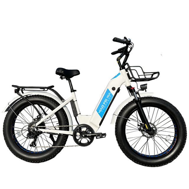 24"x4.0 Fat Tire Electric Bike 750W 48V 15Ah Lithium Battery Frame Disc Brake 7-Speed LCD 60km Custom