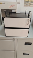 Armoire de rangement de fichiers de bureau mobile LYBS avec 2 tiroirs, construction en acier, design moderne pour utilisation en atelier