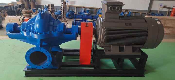 Double Suction Pump