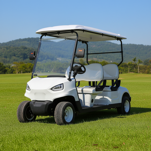 Voiturette de golf miniature 4 places pour usage personnel en villa et dans le jardin - Product Image 3