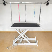 Table de toilettage électrique pour animaux de compagnie en acier inoxydable, robuste, haute capacité de charge, hauteur réglable, plateau antidérapant, avec bras