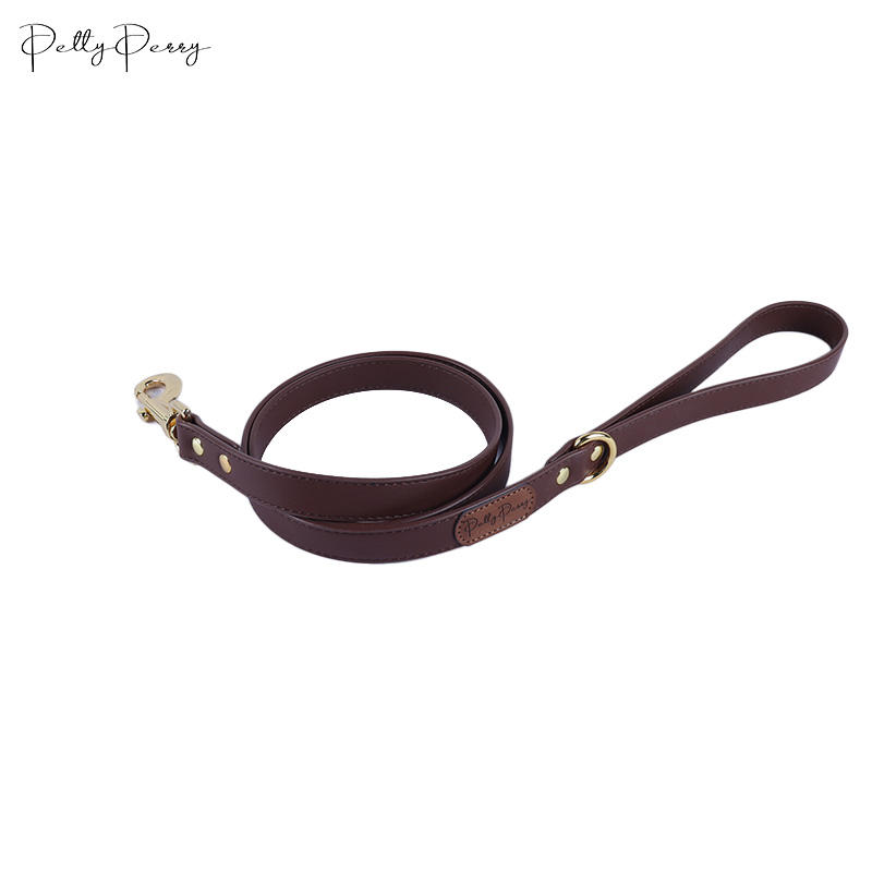 Brown Leash