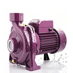 Pompe centrifuge haute efficacité série ZHELI avec sortie de 1 pouce pour les systèmes d'alimentation en eau des maisons familiales - Product Image 1
