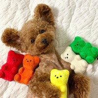 Jouet en peluche couineur pour chiens et chats, ours coréen en gomme, style décontracté de luxe, mignon, avec fonction sonore BB