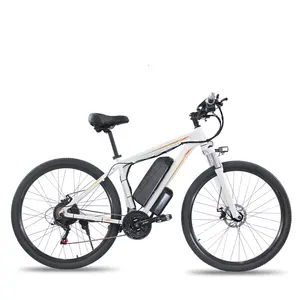 Sale By Bulk Outdoor Exercise Electric Mountain Bike 29 27.5 Inch 24 Speed 250W E-bike Mtb