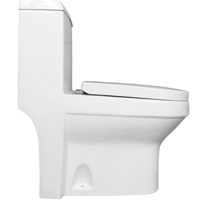 Jisairi — livraison gratuite, prix en gros, pour les toilettes, bidet en céramique, une pièce, piège de 300mm, prix de gros - Product Image 3