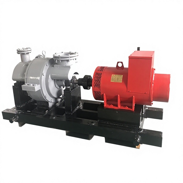 Stable Power Professional 10kW-100MW Energy Saving Condensing Steam Turbine Biomass Power Plant with PLC and Pump