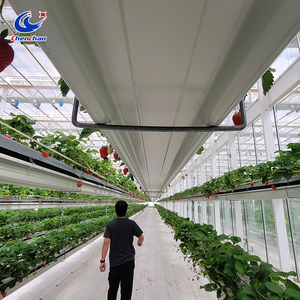 Système de culture de <span class=keywords><strong>fraises</strong></span> vertical avec gouttière relevable, gouttière hydroponique pour ferme et serre - Product Image 6