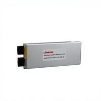 Аккумулятор LiPo LongKun 3.7V 3.85V 80Ач 100Ач с высокой плотностью энергии, перезаряжаемая литий-полимерная батарея в мягком корпусе, OEM ODM