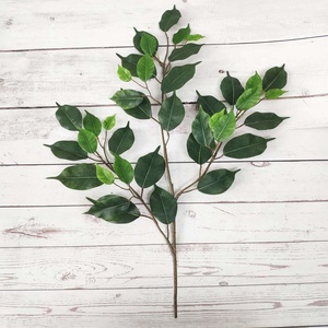 SGS Cấp Giấy Chứng Nhận Chống Cháy Nhân Tạo Lá Màu Xanh Lá Cây Giả <span class=keywords><strong>Ficus</strong></span> Lá Cho Cây Lớn - Product Image 1