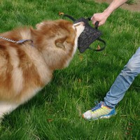 Coussin de mastication pour chien en chanvre dur, résistant aux morsures, jouet interactif d'entraînement, aide à l'éducation canine, jouet pour animaux de compagnie