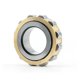 Cylindrical Roller Bearing Tanpa Piala Kuningan Nilon Kandang RN307 308 309 310EM RN204 RN205 RN206 RN207 RN208 209 RN211 RN219 RN222