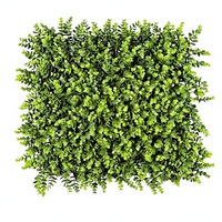 Panneau mural extérieur en haie artificielle verte PE 50x50cm, résistant aux UV, ignifuge, imperméable, léger et écologique