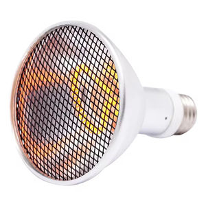 Yeni fabrika fiyat HID <span class=keywords><strong>UV</strong></span> lamba 35W/50W/70W/100W sürüngen ısı ampul uvb lambalar sürüngenler için - Product Image 1