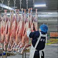 Équipement industriel d'abattage de moutons et de chèvres pour le dépeçage, le pelage et la transformation de la viande dans les abattoirs