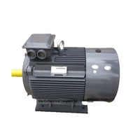 Moteur asynchrone triphasé INNOMOTICS/Yinmengda, produit authentique 1TL0001, 250 kW, 6 pôles, 115/120V, Yizheng