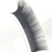 Großhandel Laser Beehive Wimpern verlängerung Längere Lebensdauer Private Label Individuelle Ellipse Flat Lash Extension