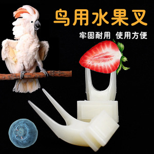 Mangeoire à oiseaux en plastique rectangulaire réutilisable pour perroquets, budgies, calopsittes, mangeoire à fruits et légumes, petite et grande taille - Product Image 2