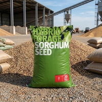 Sac d'emballage en plastique BOPP laminé imprimé en héliogravure de 25 kg pour aliments pour animaux, sac tissé en PP de 20 kg pour semences et engrais NPK