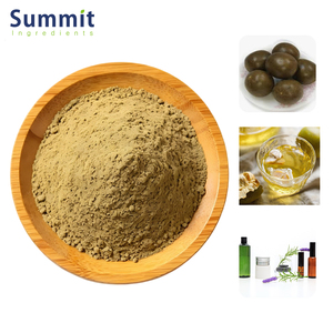 Extrait de Fruit du Moine (Luo Han Guo) Mogroside, Édulcorant de Qualité, 100% Naturel, Séché, Origine Végétale, Vente en Gros - Product Image 1