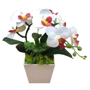 Orchidée blanche avec LED blanches, 1 pièce, décoration d'intérieur, toucher réaliste, fleur artificielle 3D PU, prix de gros