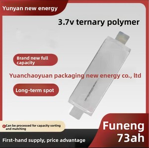 Bateria de Lítio Polímero Ternária Funeng China 73Ah/76Ah 37V Soft-Pack para Veículos Elétricos de 2/3 Rodas 35 - Product Image 2
