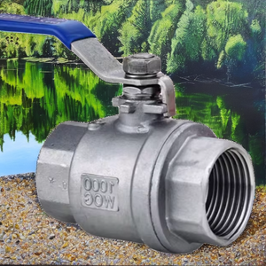 Válvula de Bola de 1 Pulgada NPT de Acero Inoxidable 304, Operación Manual, Sistema de Tuberías de Agua, 1000 WOG, Sello de PTFE - Product Image 2